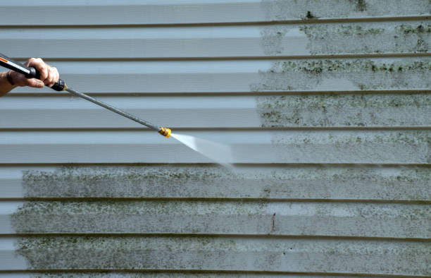 Best Residential Mold Remediation in Halstead, KS